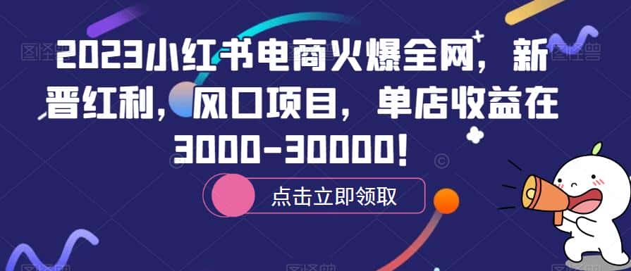 2023小红书电商火爆全网，新晋红利，风口项目，单店收益在3000-30000！-副业吧