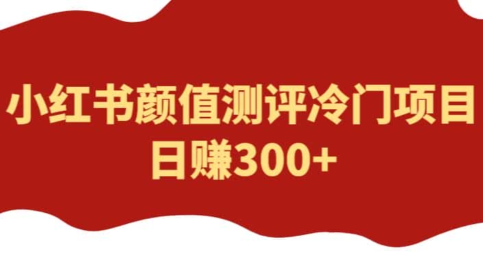 外面1980的项目，小红书颜值测评冷门项目，日赚300+【揭秘】-优优云创