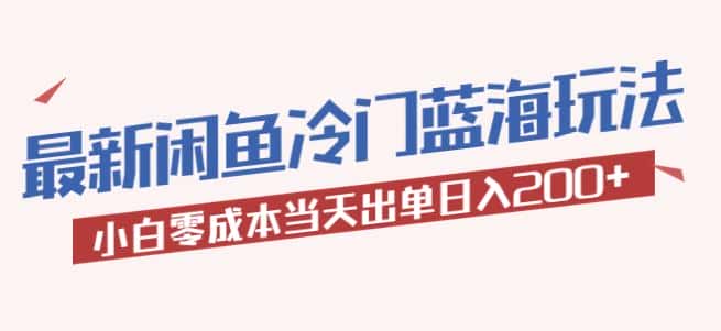 2023最新闲鱼冷门蓝海玩法，小白零成本当天出单日入200+【揭秘】-优优云创