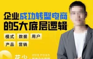 企业成功转型电商的5大底层逻辑，从模式、数据、用户、产品、营销5大板块，助你高效转型电商赛道-优优云创网