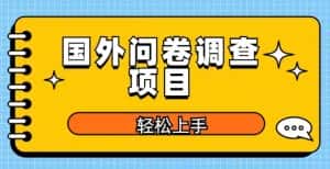 国外问卷调查项目，日入300+，在家赚美金【揭秘】-优优云创
