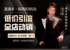 电商冰可乐·直通车·《低价引流·全店动销》，直通车·超高ROI玩法（其一）全店动销必学玩法-副业吧