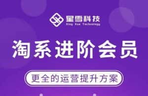 星雪·淘系进阶课程，快速提升突破技能流量瓶颈必备（更新2023年5月）-优优云创