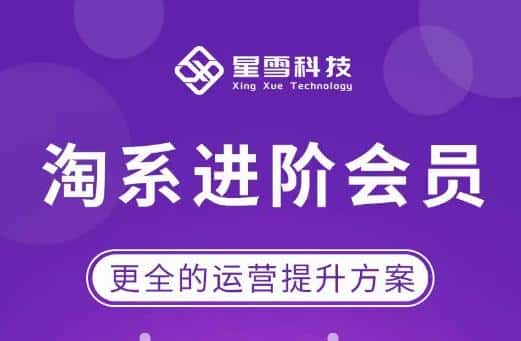 星雪·淘系进阶课程，快速提升突破技能流量瓶颈必备（更新2023年5月）-优优云创