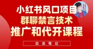 小红书风口项目日入300+，小红书群聊禁言技术代开项目，适合新手操作-优优云创