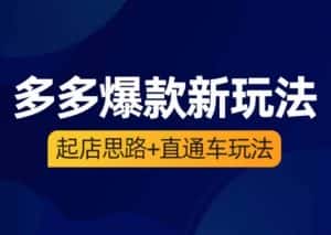 海神·多多爆款新玩法，​起店思路+直通车玩法（3节精华课）-优优云创