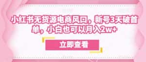 众狼电商余文小红书无货源电商风口，新号3天破首单，小白也可以月入2w+-优优云创