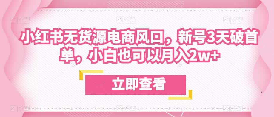 众狼电商余文小红书无货源电商风口，新号3天破首单，小白也可以月入2w+-优优云创
