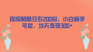 （6817期）探探陌陌日引200粉，小白新手可做，当天就能变现300+-优优云创