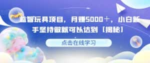 益智玩具项目，月赚5000＋，小白新手坚持做就可以达到【揭秘】-副业吧