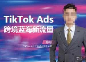 稳哥·如何投出高ROI的TikTok广告，开拓独立站卖家流量新蓝海-优优云创
