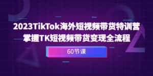 （6890期）2023-TikTok海外短视频带货特训营，掌握TK短视频带货变现全流程（60节课）-优优云创