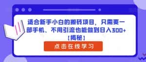 适合新手小白的搬砖项目，只需要一部手机、不用引流也能做到日入300+【揭秘】-优优云创