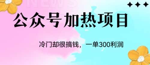 （6916期）冷门公众号加热项目，一单利润300+-优优云创