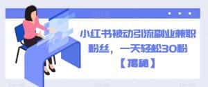 小红书被动引流副业兼职粉丝，一天轻松30粉【揭秘】-优优云创