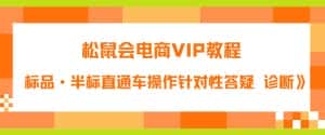 松鼠会电商VIP教程：松鼠《付费推广标品·半标直通车操作针对性答疑&诊断》-副业吧