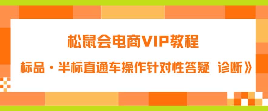 松鼠会电商VIP教程：松鼠《付费推广标品·半标直通车操作针对性答疑&诊断》-副业吧