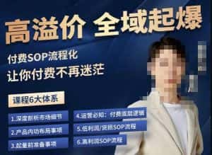 逸风-拼多多高溢价全域起爆，6大课程体系，付费玩法全套实操-优优云创