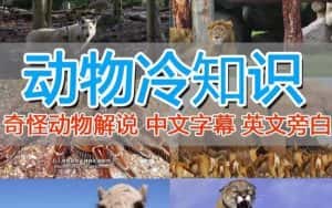 外面卖1699的国外纪录片解说（动物解说、美食、动画片）稳过中视频-副业吧