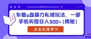 车载u盘暴力私域玩法，一部手机实现日入300+【揭秘】-优优云创