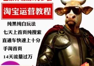 猫老师·淘系算法逆向解密，​纯黑纯白玩法，七天上首页纯搜索，手淘首页14天流量过万-优优云创