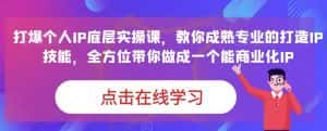 蟹老板·打爆个人IP底层实操课，教你成熟专业的打造IP技能，全方位带你做成一个能商业化IP-优优云创