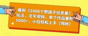 最新《1000个野路子信息差》玩法，文字视频，单个作品暴粉5000+，小白轻松上手【揭秘】-优优云创