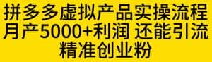 拼多多虚拟产品实操流程，月产5000+利润，还能引流精准创业粉【揭秘】-优优云创