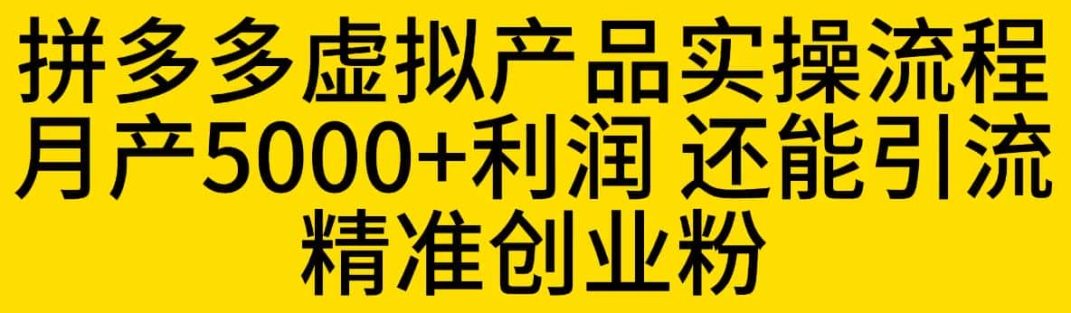 拼多多虚拟产品实操流程，月产5000+利润，还能引流精准创业粉【揭秘】-优优云创
