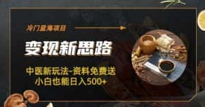冷门蓝海项目-中医新玩法-资料免费送小白也能日入500+【揭秘】-优优云创