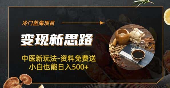 冷门蓝海项目-中医新玩法-资料免费送小白也能日入500+【揭秘】-优优云创