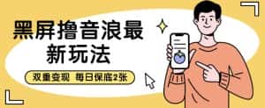 黑屏撸音浪最新玩法，双重变现，每日保底2张【揭秘】-优优云创