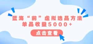某公众号付费文章《蓝海“前”虚拟选品方法：单品收益5000+》-优优云创