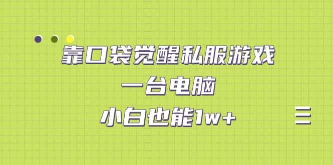 （7113期）靠口袋觉醒私服游戏，一台电脑，小白也能1w+（教程+工具+资料）-优优云创