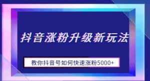 抖音涨粉升级新玩法，教你抖音号如何快速涨粉5000+【揭秘】-优优云创