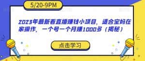 2023年最新看直播赚钱小项目，适合宝妈在家操作，一个号一个月赚1000多（揭秘）-优优云创