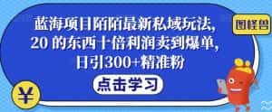 蓝海项目陌陌最新私域玩法，20 的东西十倍利润卖到爆单，日引300+精准粉【揭秘】-优优云创