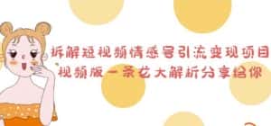 拆解短视频情感号引流变现项目，视频版一条龙大解析分享给你-优优云创