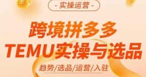 伍跃·跨境拼多多TEMU实操与选品，​趋势/选品/运营/入住（27节完整）-优优云创