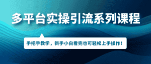 （7170期）多平台实操引流系列课程，手把手教学，新手小白看完也可轻松上手引流操作！-优优云创
