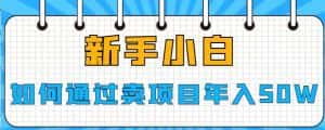 新手小白如何通过卖项目年入50W【揭秘】-优优云创网