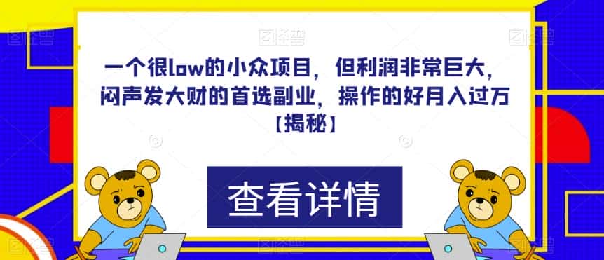 一个很low的小众项目，但利润非常巨大，闷声发大财的首选副业，操作的好月入过万【揭秘】-优优云创