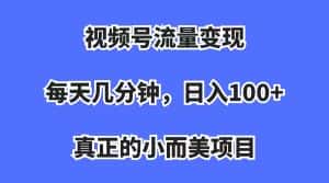 （7212期）视频号流量变现，每天几分钟，收入100+，真正的小而美项目-优优云创