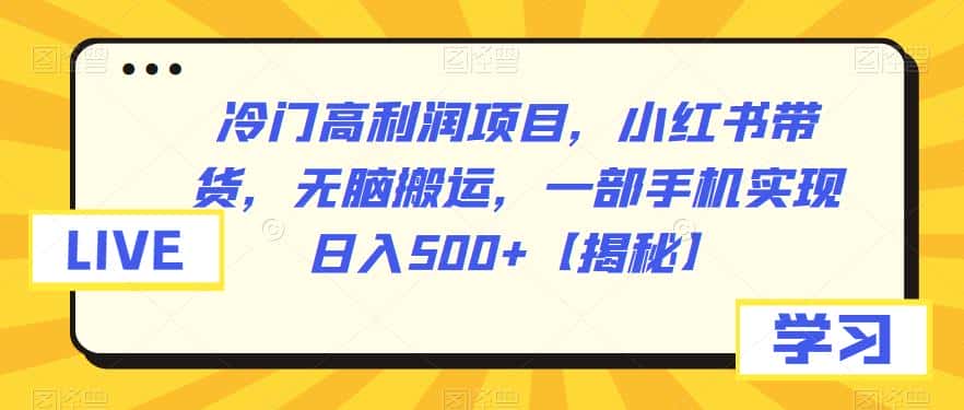 冷门高利润项目，小红书带货，无脑搬运，一部手机实现日入500+【揭秘】-优优云创