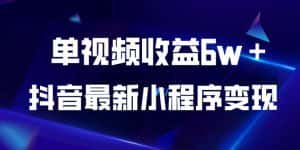 抖音最新小程序变现项目，单视频收益6w＋，小白可做【揭秘】-优优云创网