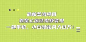 （7276期）最新蓝海项目，靠禁止废话视频变现，一部手机，小白轻松月入过万！-优优云创