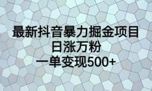 最新抖音暴力掘金项目，日涨万粉，一单变现500+【揭秘】-优优云创