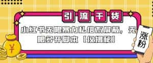 小红书无限暴力私信不屏蔽，无限多开脚本【仅揭秘】-优优云创