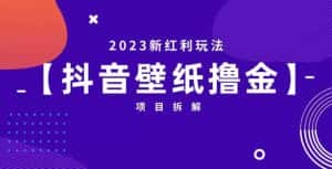 抖音壁纸小程序创作者撸金项目，2023新红利玩法【项目拆解】-优优云创