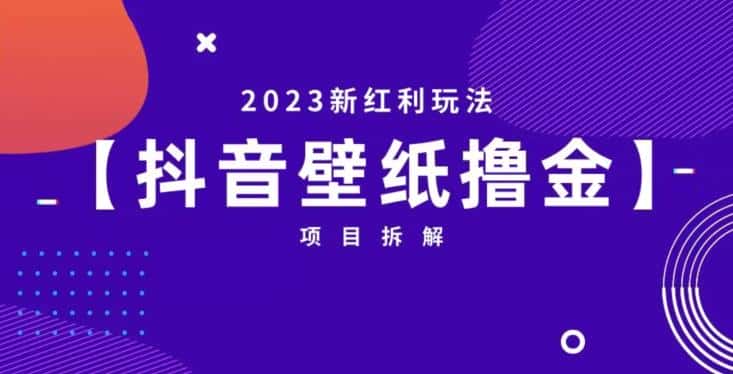 抖音壁纸小程序创作者撸金项目，2023新红利玩法【项目拆解】-优优云创